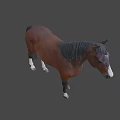 Durable High Quality Equestrian Sports Equipment For Brown Horse Riding Training