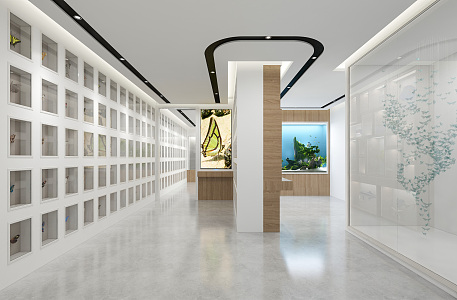 Modern Exhibition Hall Butterfly Animal Plant Specimen Exhibition Hall Animal Display Wall Exhibition Hall Animal Specimen Display Museum 3d model