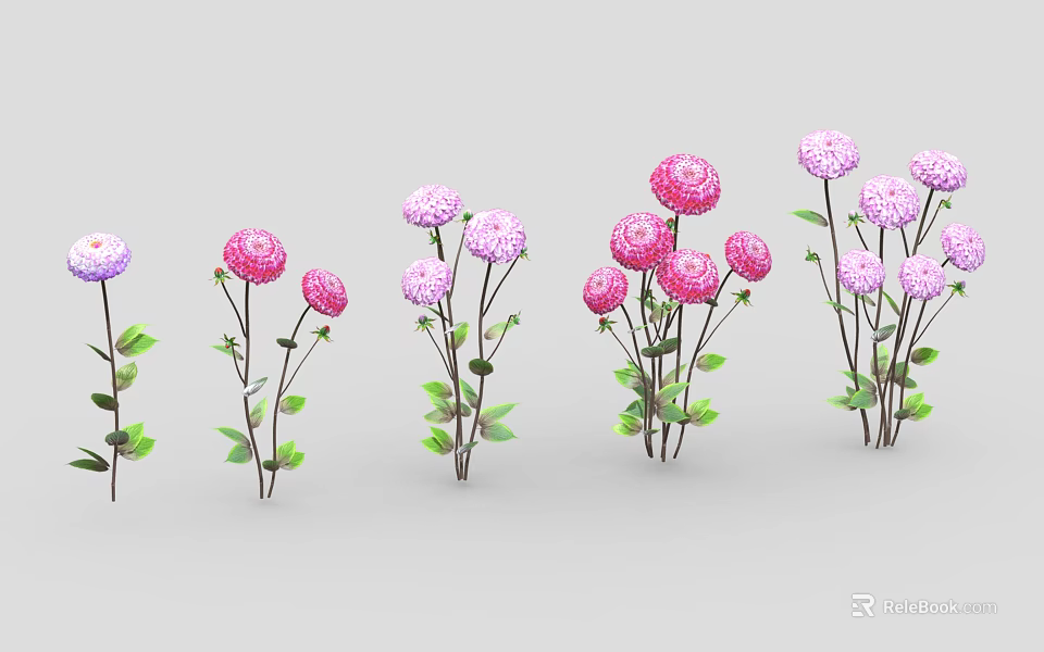 Decorative Flower Plants With Pink Purple Blooms And Green Leaves Arranged In A Row 3d model 