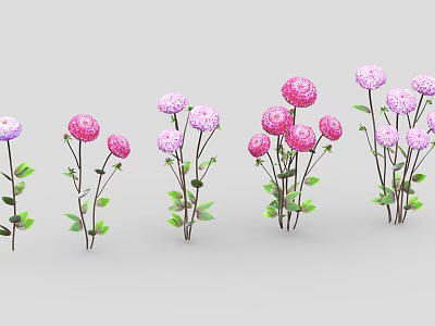 Decorative Flower Plants With Pink Purple Blooms And Green Leaves Arranged In A Row 3d model