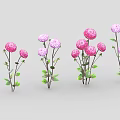 Decorative Flower Plants With Pink Purple Blooms And Green Leaves Arranged In A Row