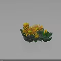 Yellow Flowering Plants With Green Leaves Radiant Petals And Buds On Dark Background