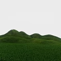 Garden Landscape With Rolling Green Hills And Lush Grass Under White Sky
