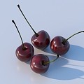 Cherry fruit ornaments 3d model