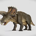 Realistic Triceratops Dinosaur 3D Model in Standing Pose with Detailed Features
