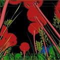 Blooming Dandelions in Green Grass Under Blue Sky with Flying Butterfly