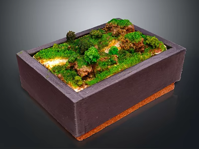 Miniature Moss Landscape In Rectangular Wooden Box With Green Moss And Small Plants 3d model