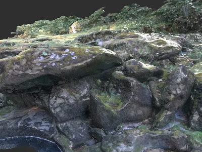 Natural Moss Covered Stone Rocks With Green Vegetation And Water Elements 3d model