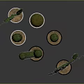 Green Cactus Plants In White And Black Pots With Various Types And Sizes
