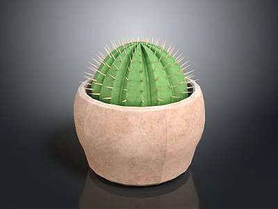 Green Cactus Plant with Spiky Thorns in Terracotta Pot on Dark Reflective Surface 3d model
