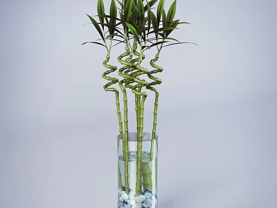 Glass Vase With Spiral Shaped Bamboo Decorated With White And Blue Pebbles And Water 3d model