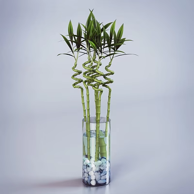 Glass Vase With Spiral Shaped Bamboo Decorated With White And Blue Pebbles And Water 3d model