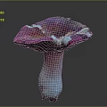 Biological Organ Structure With Natural Hair Features And Anatomical Details