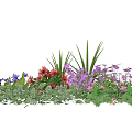 Vibrant Mixed Color Flowers and Green Plants with Lush Leaves and Grass