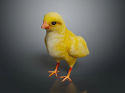 Cute Yellow Chick Standing on Reflective Surface with Orange Beak and Feet 3d model
