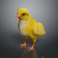 Cute Yellow Chick Standing on Reflective Surface with Orange Beak and Feet