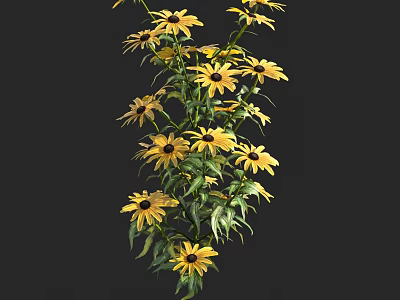 Vibrant Yellow Flowers with Green Leaves and Black Centers Growing Naturally 3d model