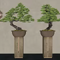 Pine Bonsai Plants on Tall Wooden Stands with Hanging Lantern in Traditional Setting