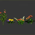 Colorful Flowers With Red Yellow Pink Orange Blooms Lush Green Leaves Against Gray Background Reflections