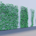 Green Vines Growing On White Wall With Various Dense Leaf Patterns For Decorative Garden Design 3d model