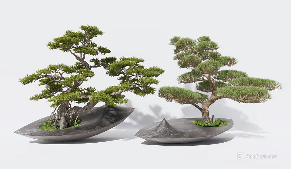 Two Bonsai Pine Trees in Irregular Stone Pots Minimalist White 3d model 