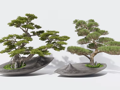 Two Bonsai Pine Trees in Irregular Stone Pots Minimalist White 3d model