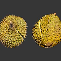 Two Fresh Durian Fruits With Spiky Yellow Exterior On Dark Reflective Surface