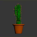 Tall Green Cactus With Thorns In Orange Pot On Gray Background