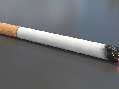 Cigarette With Orange Filter White Body And Black Burned End On Smooth Surface 3d model
