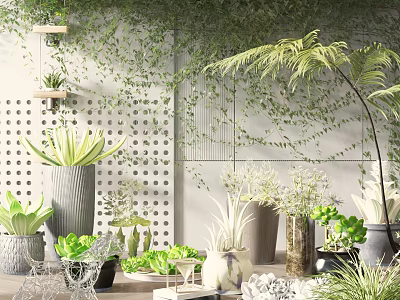 Stylish Indoor Potted Bonsai Plants With Various Green Vines And Ceramic Planters 3d model