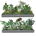 Two Modern Rectangular Planters Filled With Lush Green Tropical Plants And Foliage