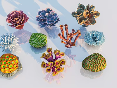 Different Types Of Vibrant Marine Life Coral In Ocean Habitat With Various Colors And Shapes 3d model