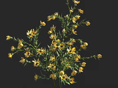 Yellow Daisy Like Flowers Bouquet With Green Stems And Leaves 3d model
