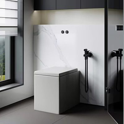 Modern Bathroom Toilet With White Marble Wall And Black Faucet Design 3d model