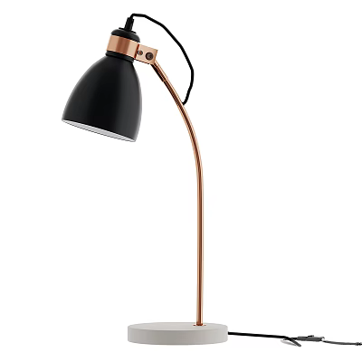 Modern Floor Lamp with Black Shade and Copper Stand for Home Interior Decor 3d model