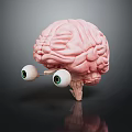 Medical Device Featuring Anatomical Brain Model With Connected Eyeballs 3d model