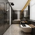 Modern Luxury Dark Marble Bathroom Interior With Full Functional Sanitary Ware And Elegant Practical Design