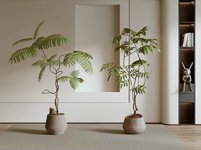 Bonsai Plants With Lush Green Leaves Potted in Light Colored Containers for Indoor Decor 3d model