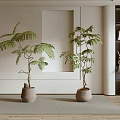 Bonsai Plants With Lush Green Leaves Potted in Light Colored Containers for Indoor Decor