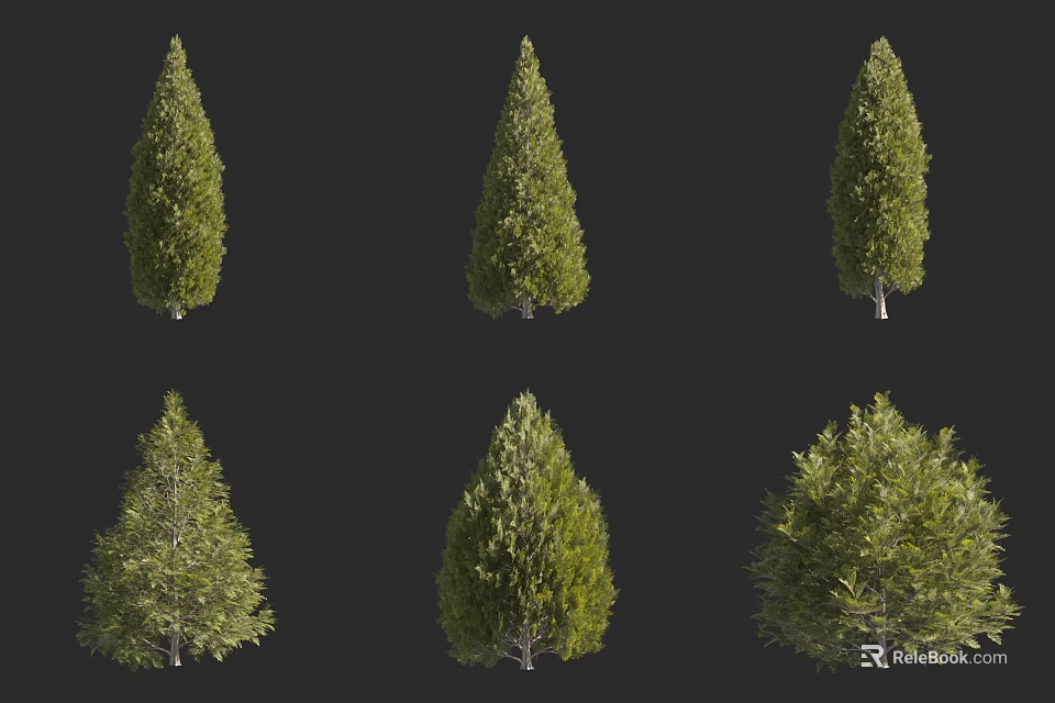 Various Evergreen Trees With Green Foliage and Varied Shapes Isolated on Black 3d model 
