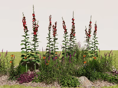 Tall Red Foxglove Surrounded by Low Purple Orange Flowers Green Herbs Stones and Mulch 3d model