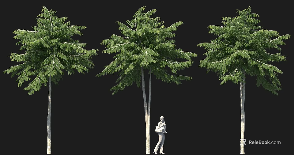 Three Tall Arbor Trees With Standing Human Figure In 3D Rendering Against Black Background 3d model 