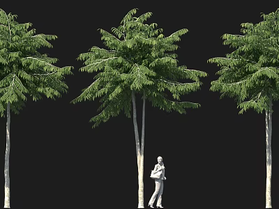 Three Tall Arbor Trees With Standing Human Figure In 3D Rendering Against Black Background 3d model