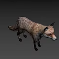Detailed Realistic 3D Red Fox Full Body Model Standing on Gray Background 3d model