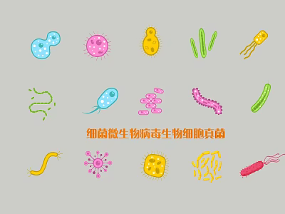 Science Education Microbial Silhouettes Showing Bacteria Viruses Fungi And Biological Cells 3d model