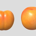 Fresh Whole Apricot and Halved with Visible Seed on Light Background