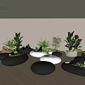Modern Office Landscape Design With Various Green Plants And Stone Pots On Wooden Floor