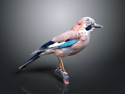 Colorful Bird With Blue And Brown Feathers Perched On Wooden Branch Against Dark Background 3d model