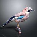 Colorful Bird With Blue And Brown Feathers Perched On Wooden Branch Against Dark Background