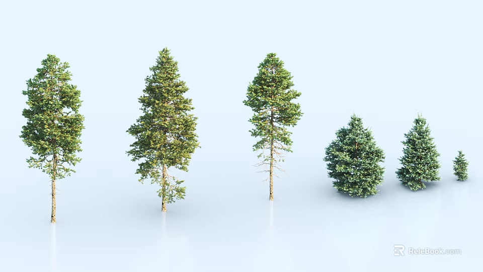 Diverse Plant Combination With Tall Pine And Small Spruce Trees Arranged 3d model